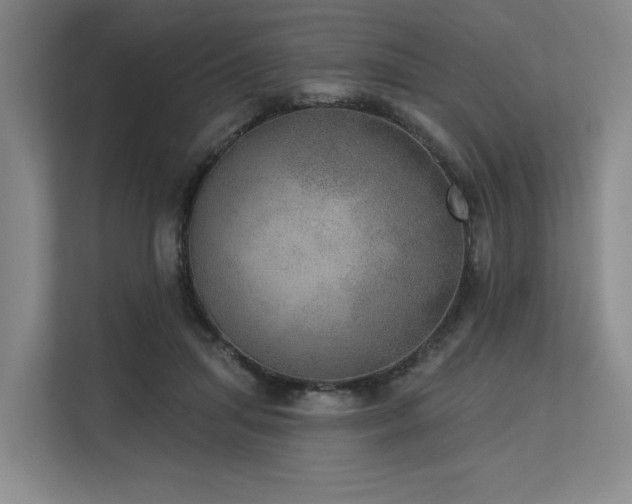 X0000113630455200909181520
