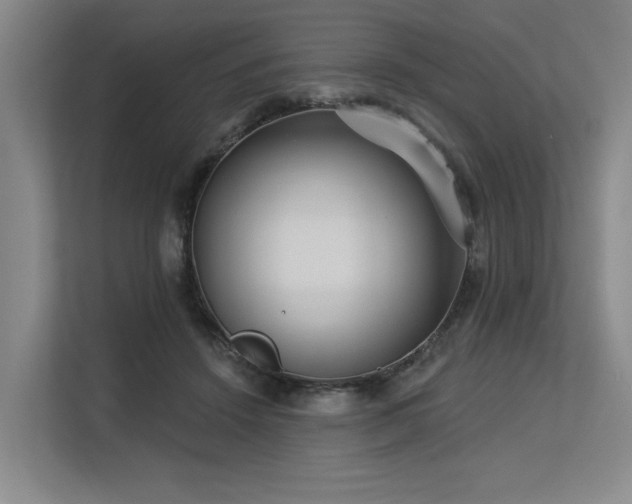 X0000113630456200909181520