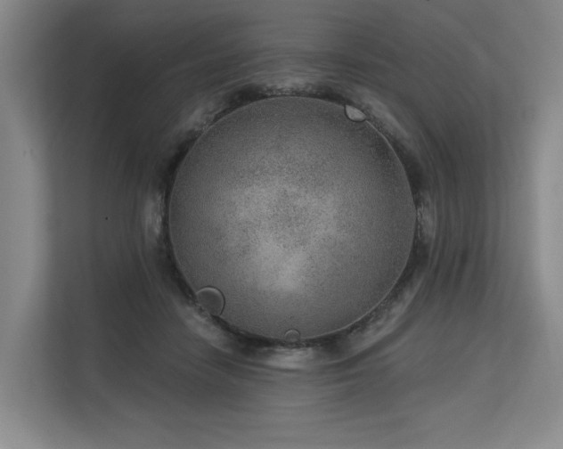 X0000113630458200909181520
