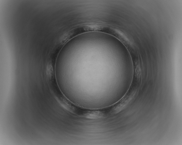 X0000113630459200909181520