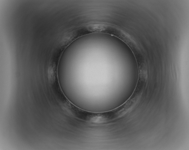 X0000113630460200909181520