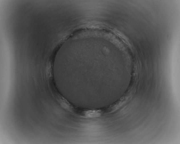 X0000113630465200909181520