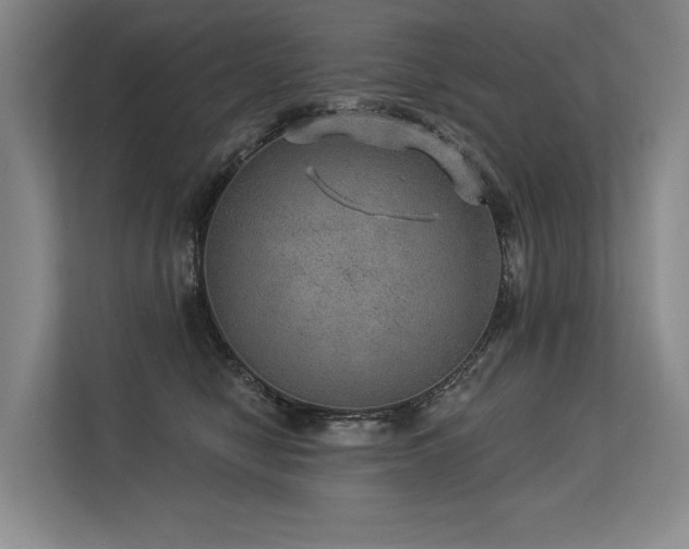 X0000113630470200909181520