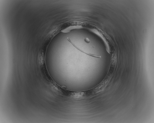 X0000113630474200909181520