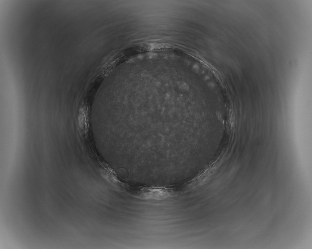 X0000113630475200909181520