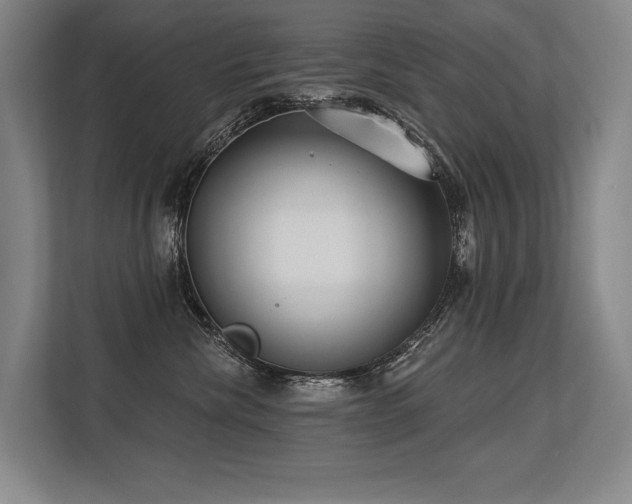 X0000113630476200909181520
