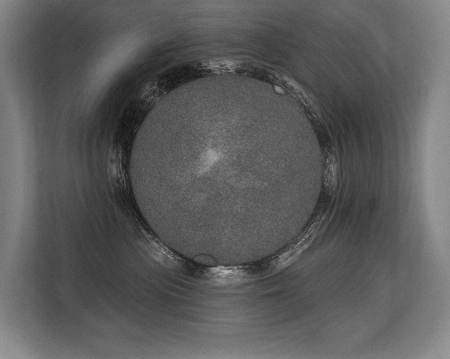 X0000113630477200909181520