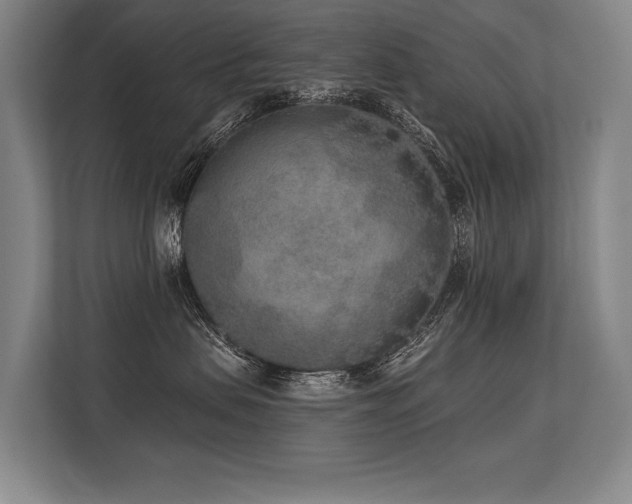 X0000113630479200909181520