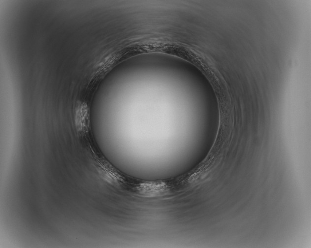 X0000113630480200909181520