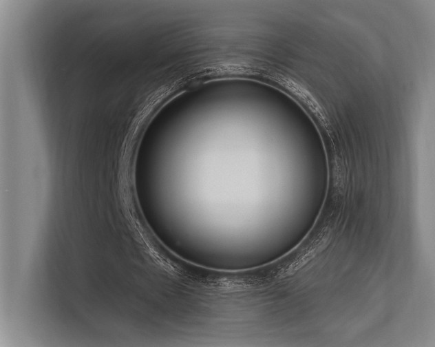 X0000113630481200909181520