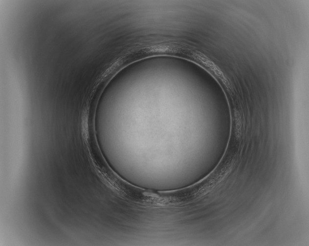 X0000113630482200909181519