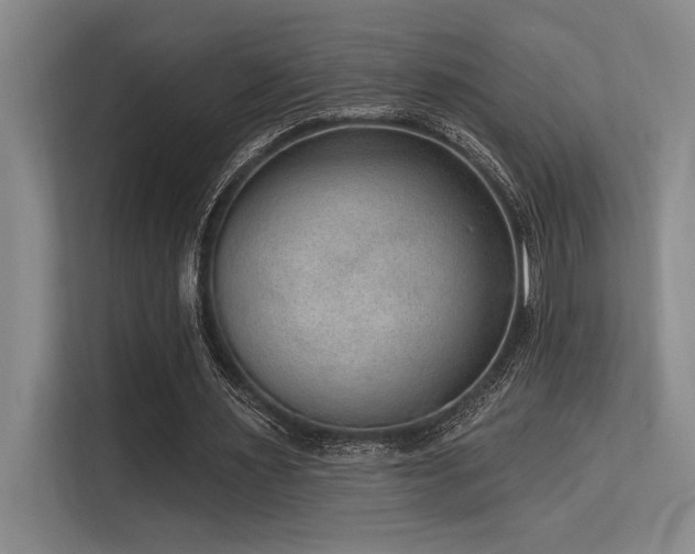 X0000113630483200909181519