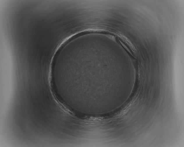 X0000113630484200909181519