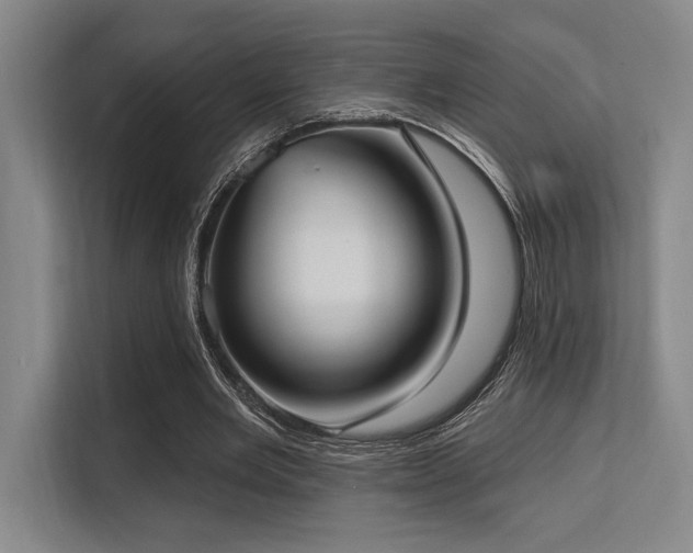 X0000113630485200909181519