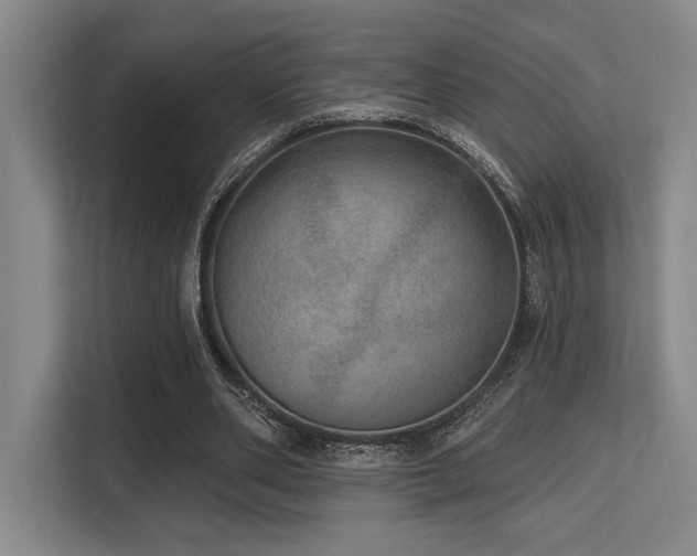 X0000113630486200909181519