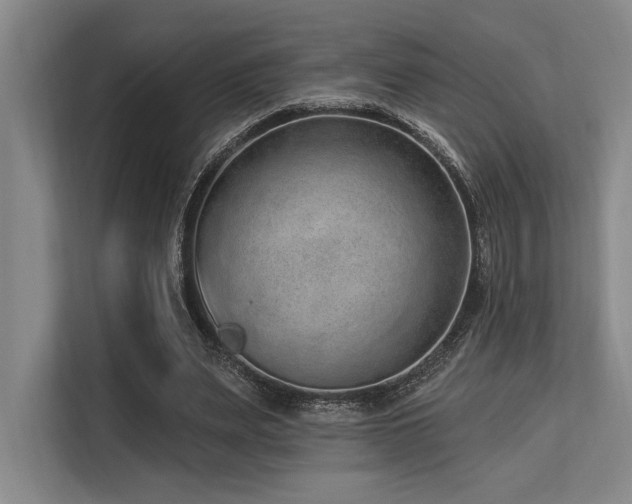 X0000113630487200909181519