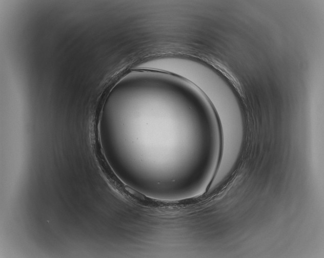 X0000113630489200909181519