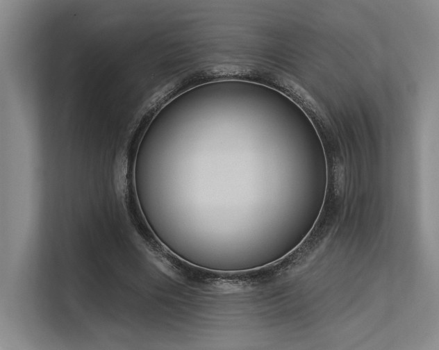 X0000113630490200909181519