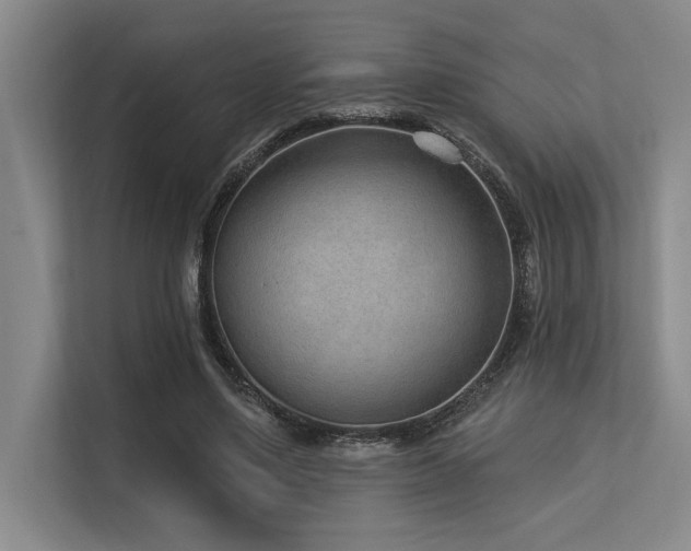 X0000113630491200909181519