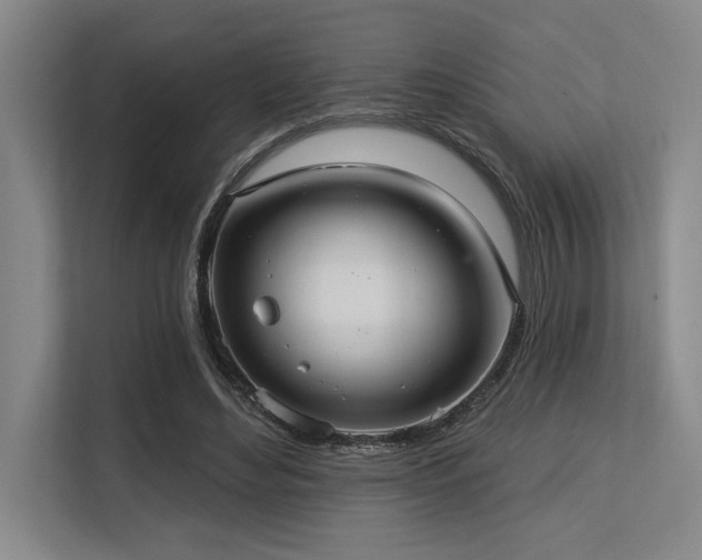 X0000113630492200909181519