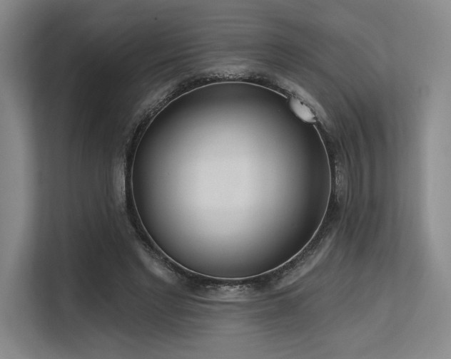 X0000113630493200909181519