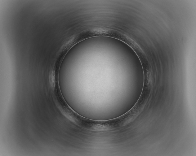 X0000113630494200909181519