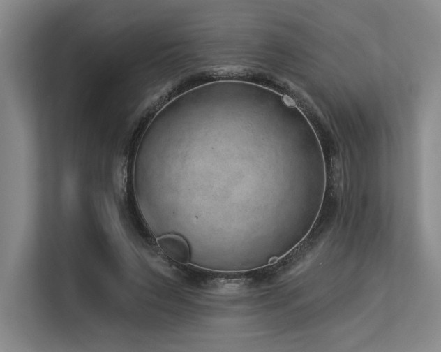X0000113630495200909181519