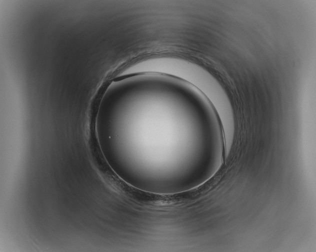 X0000113630496200909181519