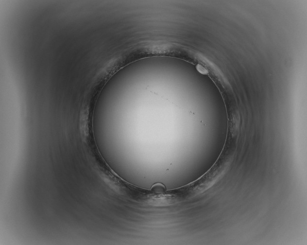 X0000113630497200909181519