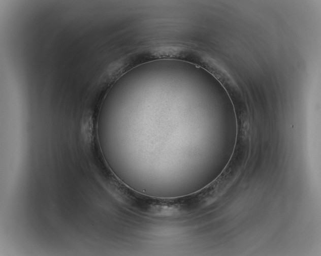 X0000113630498200909181519