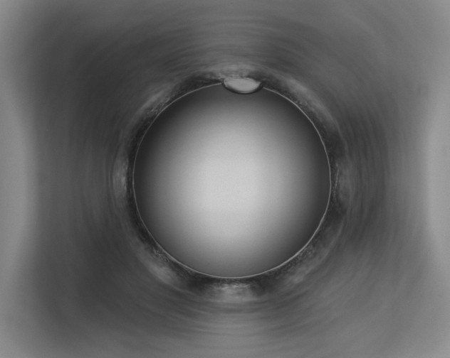 X0000113630501200909181519