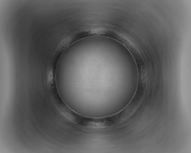 X0000113630502200909181519