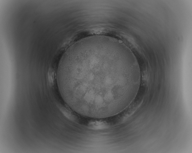 X0000113630503200909181519