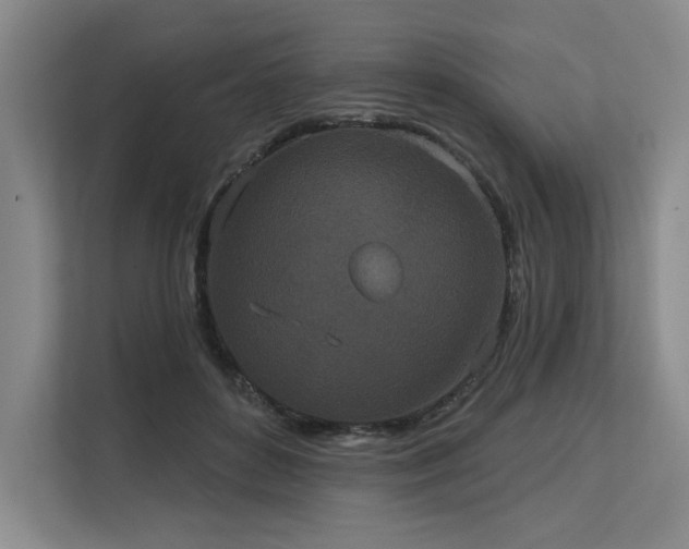 X0000113630504200909181519