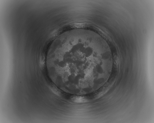 X0000113630507200909181519