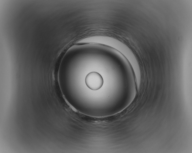 X0000113630508200909181519