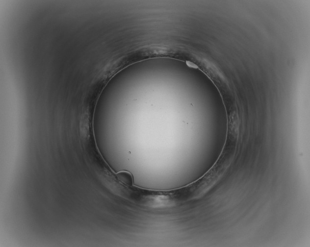 X0000113630509200909181519