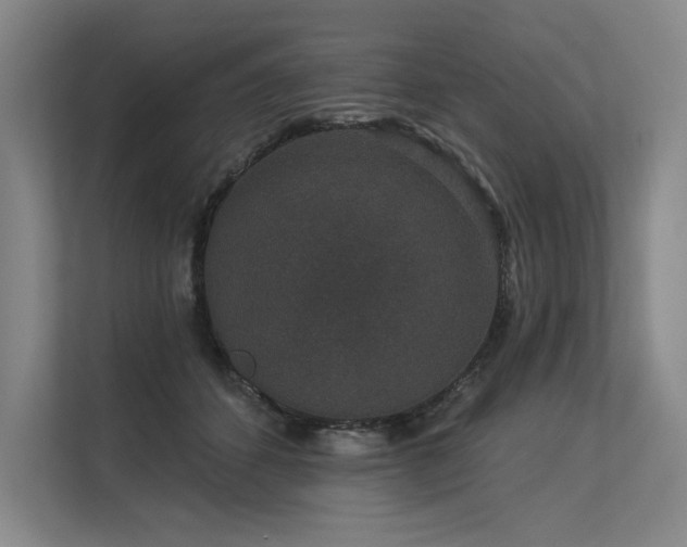 X0000113630512200909181519
