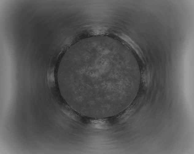 X0000113630516200909181519