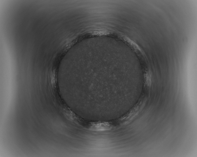X0000113630517200909181519