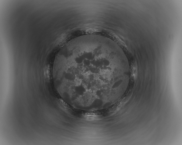 X0000113630519200909181519