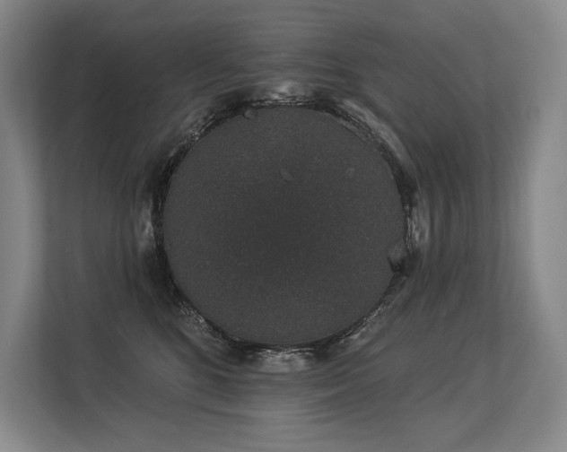 X0000113630520200909181519