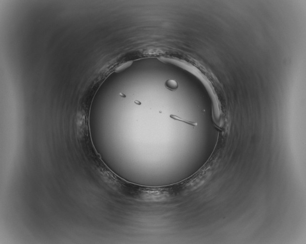 X0000113630521200909181519