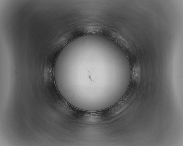 X0000113630522200909181519