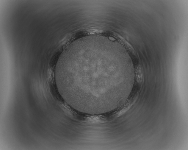 X0000113630523200909181519