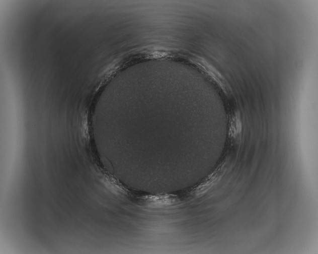 X0000113630524200909181519