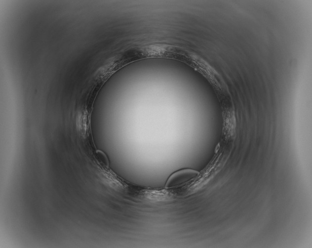 X0000113630525200909181519