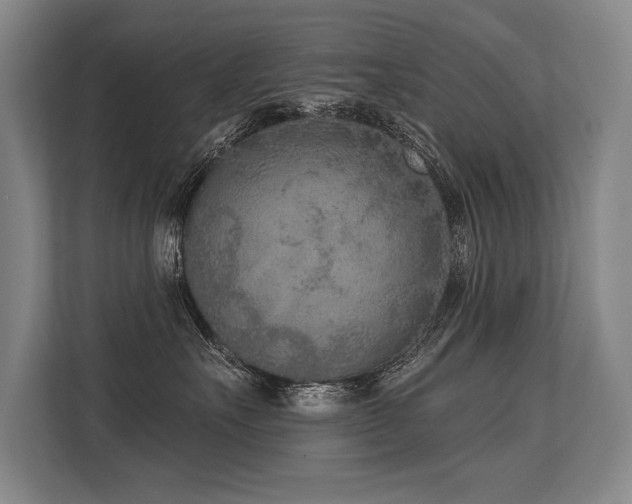 X0000113630527200909181519
