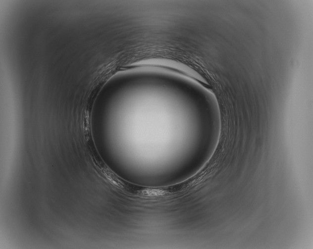 X0000113630528200909181519
