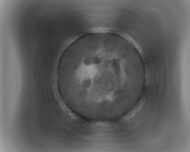 X0000113630529200909181518